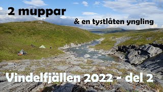 14 dagar med muppar i Vindelfjällen  del 2  Syter  Dalavardo  Vindelkroken  Marmorkanjon [upl. by Oznola]