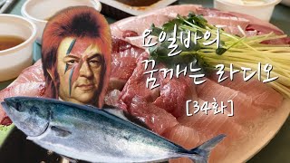 34화 제철 방어회를 가장 맛있게 먹는 최선의 방법  요일바의 꿈깨는 라디오 20231203 [upl. by Eedebez]