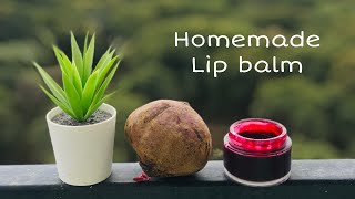 Homemade natural lipbalm for pink lips  Beetroot lip balm at home  Natural lip gloss DIY [upl. by Anirtek121]