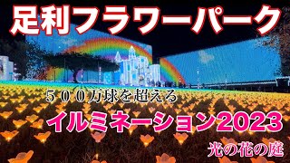 足利フラワーパーク イルミネーション20232024「光の花の庭」開幕 ５００万球を超えるイルミネーションで最高の美しさ [upl. by Marisa]