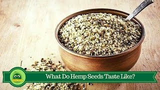 What Do Hemp Seeds Taste Like [upl. by Enyaht]