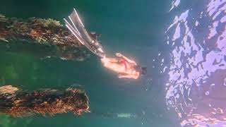 busselton jetty freediving western australia [upl. by Eelnodnarb]