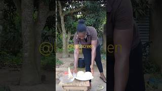 Rice amp Plantain Fufu Recipe  fufu swallow shorts shorts reels viral food youtubeshorts [upl. by Barbara]