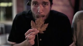 Manger des feuilles dérable  Le repas parfait pour lautomne québécois [upl. by Akeim]