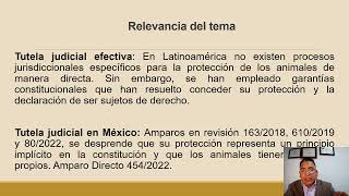 La tutela judicial efectiva del principio constitucional de protección animal en México  E Ramírez [upl. by Marinna]