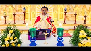 Holy Mass October 28 Saturday 530 AM I Malayalam I Syro Malabar I Fr Bineesh Augustine [upl. by Farr]