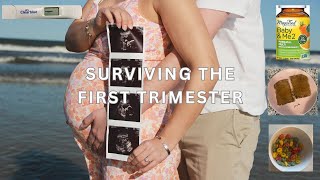 How to Survive the First Trimester  10 Tips amp Tricks [upl. by Diley]