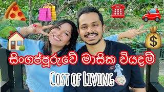 COST OF LIVING  SINGAPORE  සිංගප්පූරුවේ මාසෙකට යන වියදම්🤑 costofliving singapore couplevlog [upl. by Yeleek883]