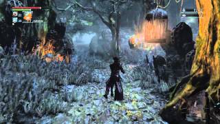 Bloodborne  Bloodstone chunk in Forbidden woods [upl. by Dilisio33]