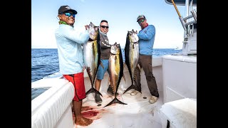 Yellowfin Tuna mania down at Sport Fish Panama Island Lodge 2023  Full episode [upl. by Assanav]