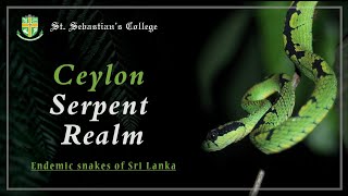 Ceylon Serpent Realm  StSebastians College Moratuwa  Featurette23 Documentary Competition [upl. by Assenov]