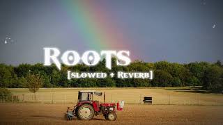 Roots Slowed  Reverb  Bintu Pabra amp Kp Kundu  MS EDITS [upl. by Bradly]