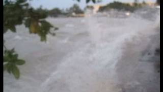 Shocking Footage of the 2011 Tsunami Hitting Hawaii [upl. by Dragon]