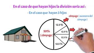 LIQUIDACIÓN DE LA SOCIEDAD CONYUGAL O PATRIMONIAL [upl. by Llerat]