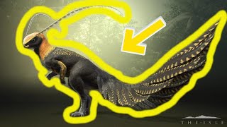 Detailed Hypsilophodon Guide  The Isle  Gateway [upl. by Jaffe]