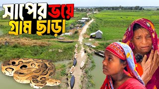 গোপালপুর চর যেন রাসেলস ভাইপারের আঁতুড়ঘর । Russells viper Char [upl. by Terhune]