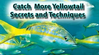 Yellowtail Snapper Fishing Secrets and Techniques [upl. by Zilevi]