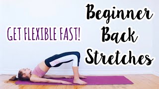 Back Stretches for the Inflexible Beginner Flexibility Routine [upl. by Therron160]