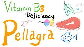 Pellagra Vitamin B3 Deficiency  NAD NADH Nicotinic Acid  Diet amp Nutrition [upl. by Yug]