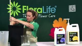 Hydrating Flowers with Floralife® Quick Dip and Flower Food for Flower Care [upl. by Ellenyl]