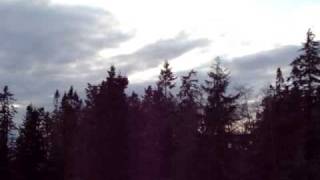 Great Horned Owl call  Whidbey Island Wa [upl. by Brier]