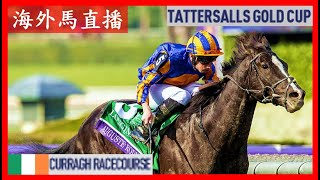 【海外馬直播】Tattersalls Gold Cup 達德素金盃 Irish 1000 Guineas 愛爾蘭一千堅尼 Curragh Racecourse 卻拉馬場 Ireland 愛爾蘭 [upl. by Heurlin675]