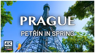 Ultimate Prague Spring Tour Discover Petřín Hill [upl. by Wehtta]