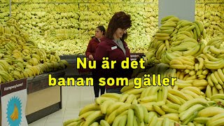 Nu är det bananer som gäller [upl. by Erdnaxela168]