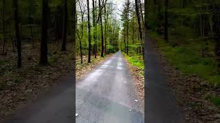 Travel with Cycle 🚲 Reisen mit der Fahrrad 🚲🇩🇪🇩🇪 Neu Isenburg [upl. by Alica]