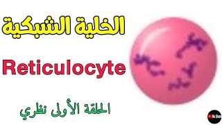 الخلايا الشبكية ما هي؟ أسباب ارتفاعها وأسباب انخفاضها Reticulocyte 🩸 [upl. by Boudreaux]