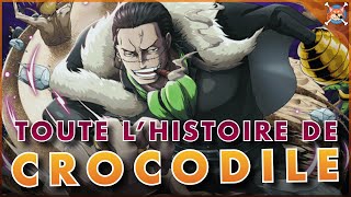 TOUTE L’HISTOIRE DE CROCODILE   De Newbie à Shichibukai    One Piece Explication [upl. by Ronaele49]