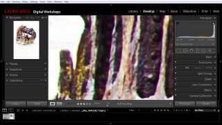 What is Chromatic Aberration Color Fringing and How Do I Fix It in Lightroom [upl. by Rosner]