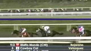 2009 Santa Anita Handicap [upl. by Nafets589]