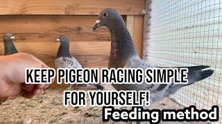 Keep Pigeon Racing Simple for yourself  How To Feed Your pigeons [upl. by Assen]