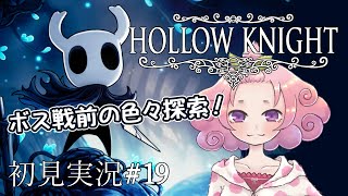 【Hollow Knight】ちょっと変わったムシたちが待ってくれているらしい【初見実況＃19】 [upl. by Anaeco]