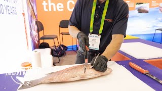 Dexter Outdoors at ICAST 2023 [upl. by Niemad381]