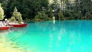 Zwitserland  10  Berner Oberland  Blausee  Oeschinensee  Rodelbaan  2007 [upl. by Claus221]