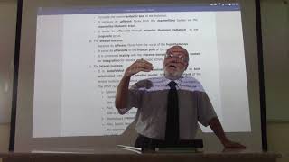 Neuroanatomy 78  Diencephalon  part 3   by Dr Wahdan [upl. by Pier]