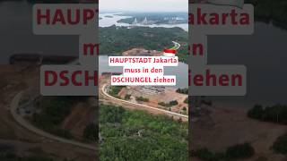 Jakarta neue Hauptstadt [upl. by Surtemed]