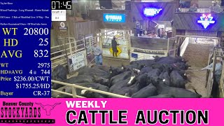 8132024  Beaver County Stockyards Weekly Cattle Auction [upl. by Erreip]