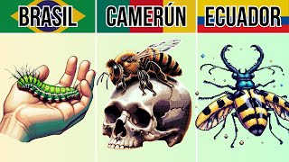 Los Insectos MÁS LETALES y PELIGROSOS Del Mundo  PIXEL ART [upl. by Notsgnal451]