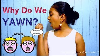 Why Do We Yawn  Yawn Meaning  Secrets Behind Yawning  English  Sashas Vlog [upl. by Darrel]