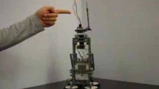 Inverted Pendulum LEGO Mindstorms NXT [upl. by Jeminah529]