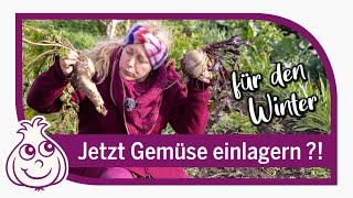 ✅ Wichtige Gartenarbeiten und Aussaaten im November [upl. by Anirahc]