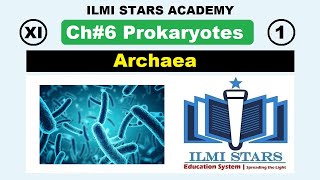 archaea class 11 biology chapter 6 prokaryotes 11th biology chapter 6 [upl. by Ellenar]