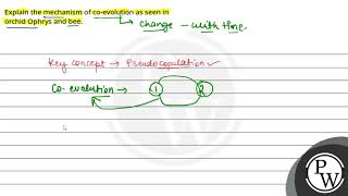 Explain the mechanism of coevolution as seen in orchid Ophrys and bee [upl. by Dnalerb]