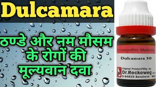 Dulcamara II Dulcamara Homeopathy II Dulcamara 30 Homeopathic Medicine uses [upl. by Yerhcaz195]