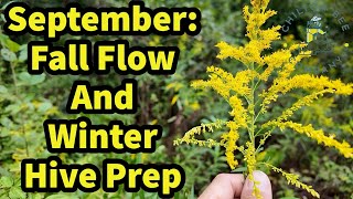 Fall Flow And Winter Hive Prep [upl. by Revart141]