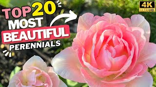 20 Most Beautiful Long Blooming Perennial Flowers for Your Garden 2 Bonus Plants 4K [upl. by Binnie]