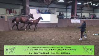 mayo roscommon breeders group Live Stream [upl. by Mikahs]